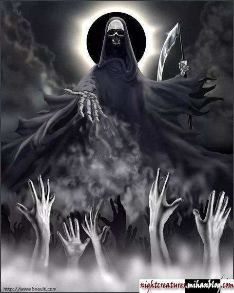 عکس_و_والپیپر_اسکلت_فانتزی_www_nightcreatures_mihanblog_com92.jpg (480×600)