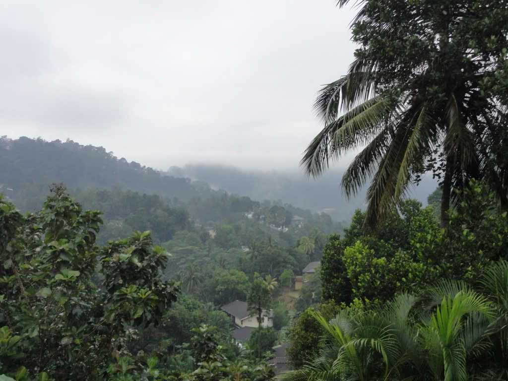 http://s3.picofile.com/file/8227056950/568.jpg