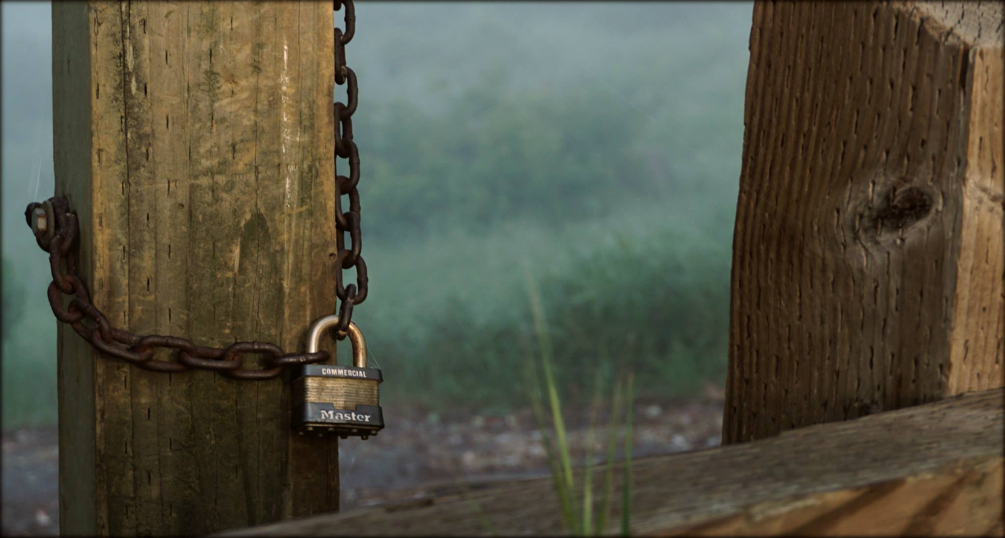 11174408_10206881536263917_163804508579442338_o.jpg (2048×1097)