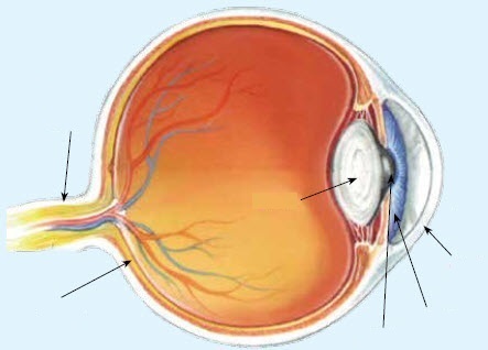 http://s3.picofile.com/file/8228588276/01_oloom_axs_01_1.jpg