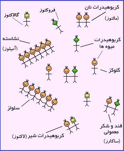  انواع کربوهیدرات ها