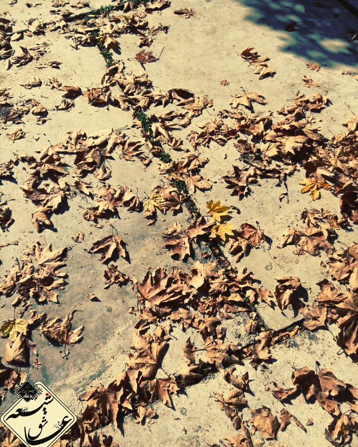 مرکز دلنوشته برای اهلبیت,شیعه عاشق,دلنوشته مرکز دلنوشته برای اهلبیت,شیعه عاشق,دلنوشته