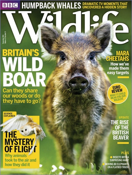 مجله انگلیسی BBC Wildlife