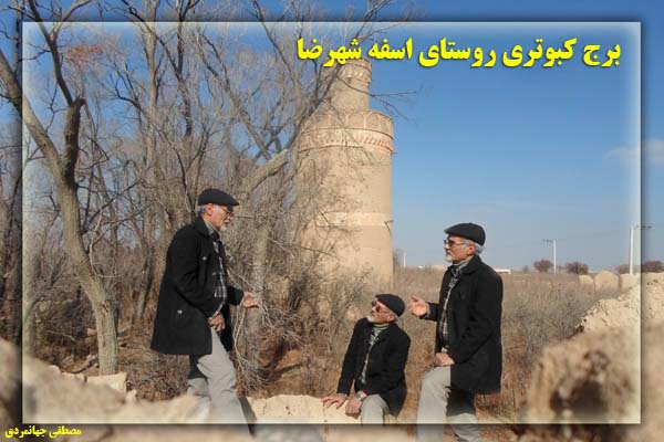 برجهای کبوتری