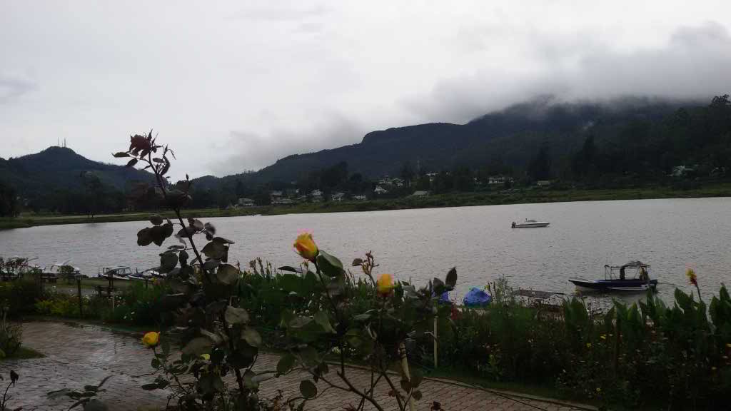 http://s3.picofile.com/file/8230950450/717.jpg