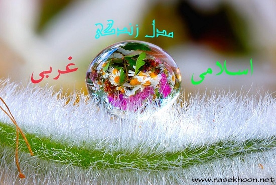 مبحث 113 طرح صالحین: «مدل زندگی اسلامی و غربی»