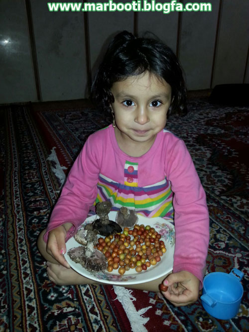 http://s3.picofile.com/file/8231618926/kowreh5.jpg