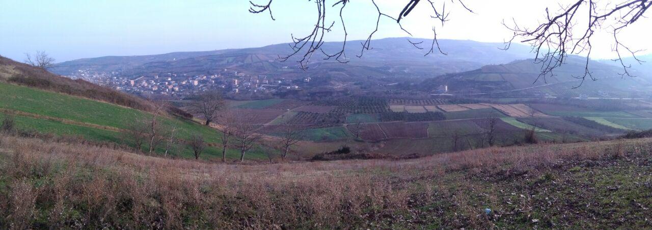 1_1_.jpg (1280×451)