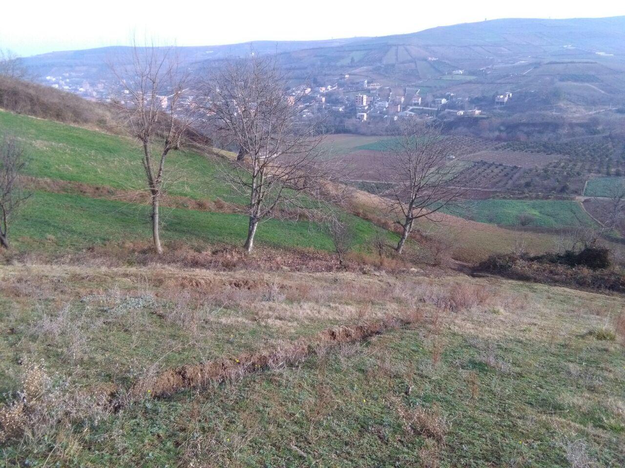 1_7_.jpg (1280×960)