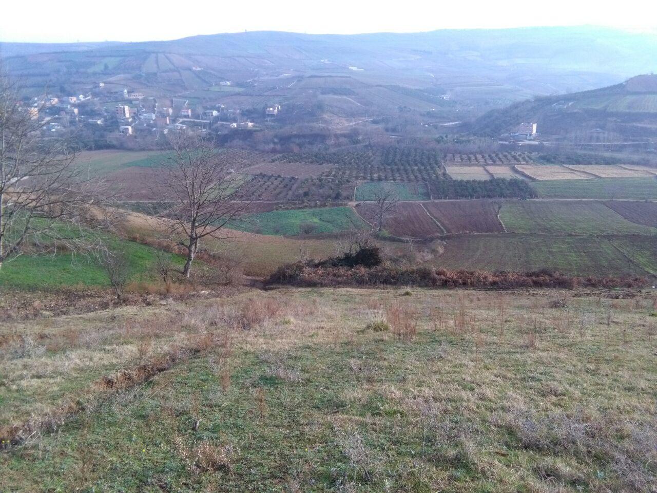 1_10_.jpg (1280×960)