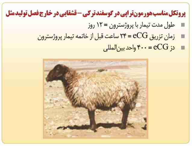 پروتوکل مناسب هورمون تراپی در گوسفند ترکی - قشقایی