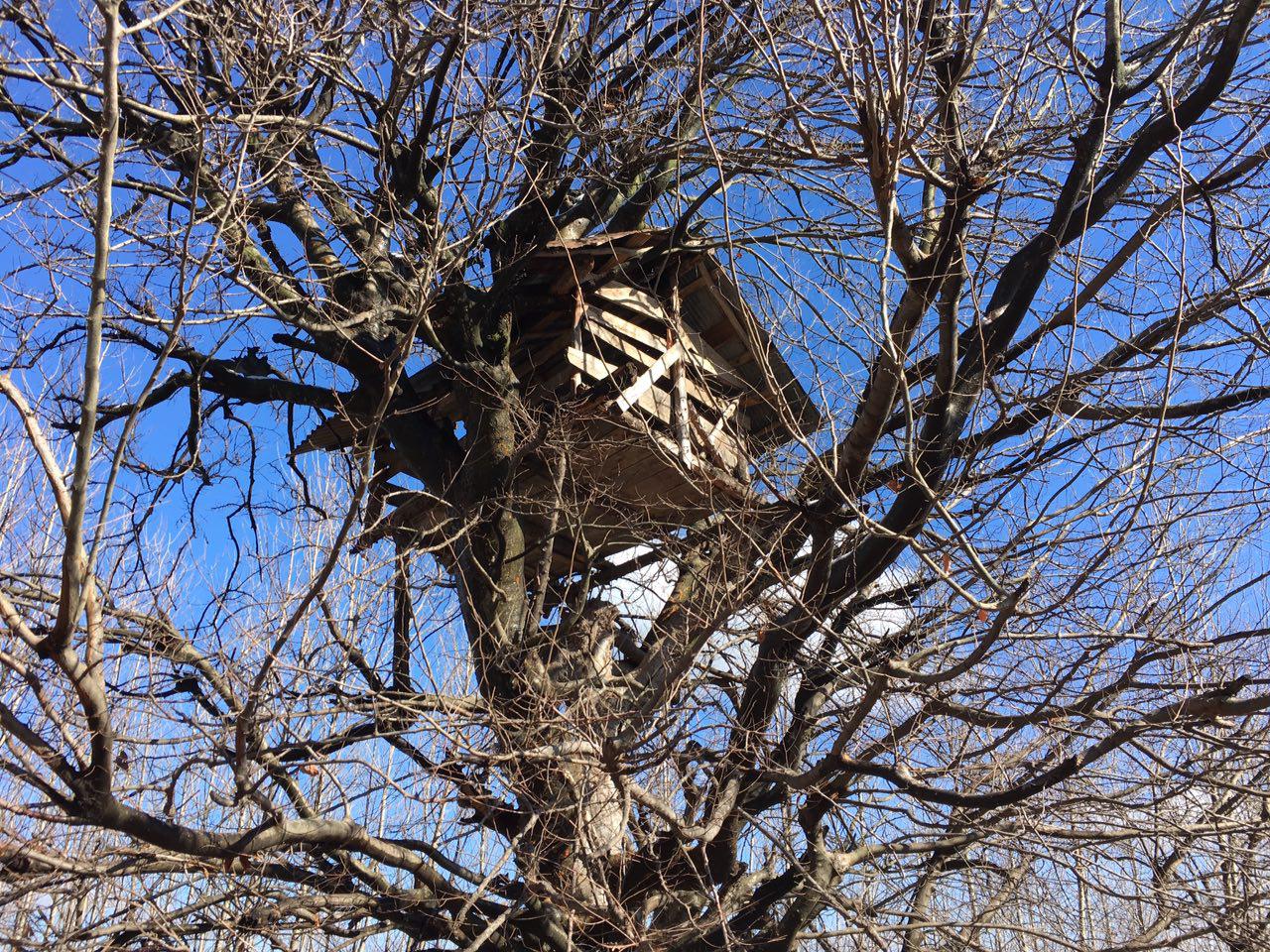 1_1_.jpg (1280×960)