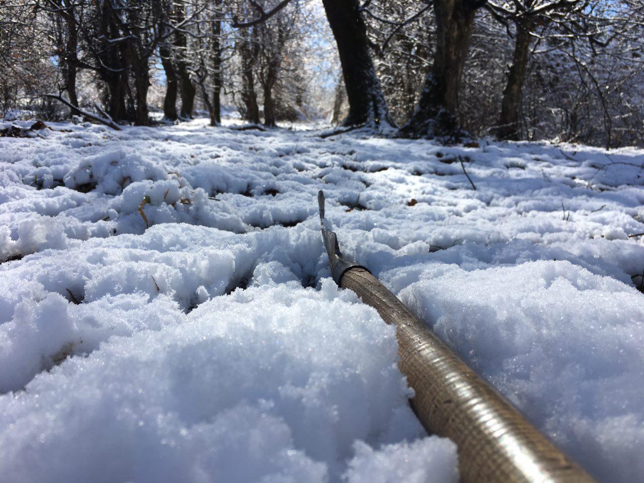 1_2_.jpg (1280×960)