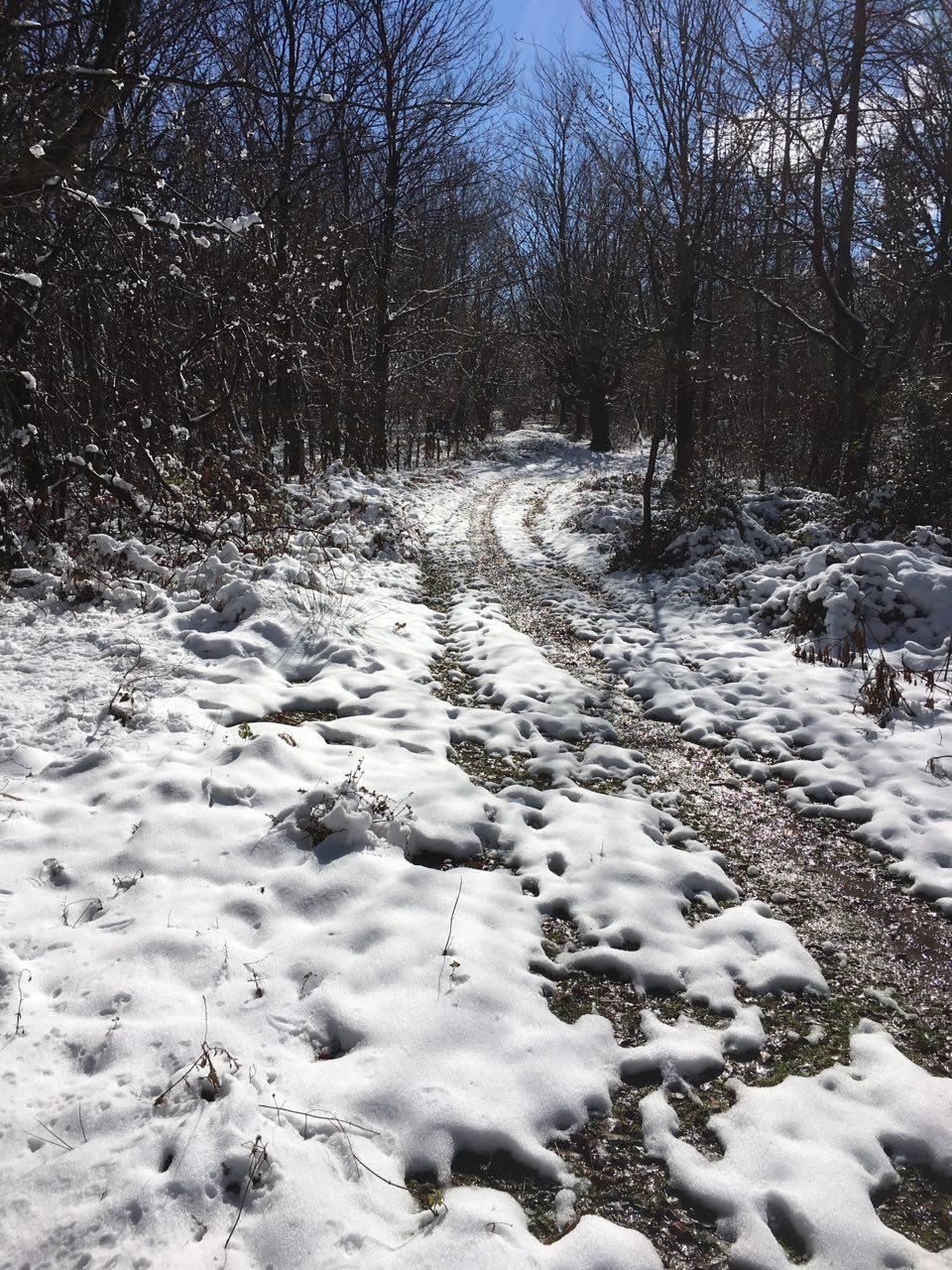 1_4_.jpg (960×1280)