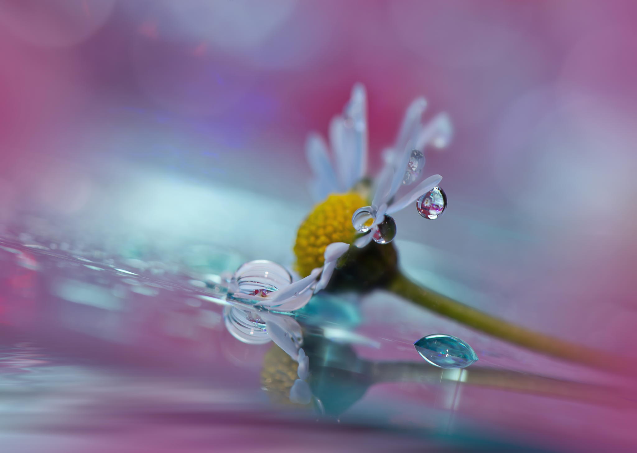 Waterdrop_Flower.jpg