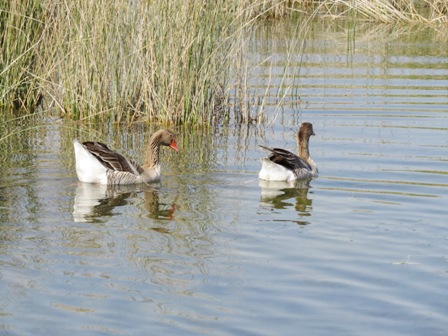 http://s3.picofile.com/file/8285488684/IMG_3814.JPG