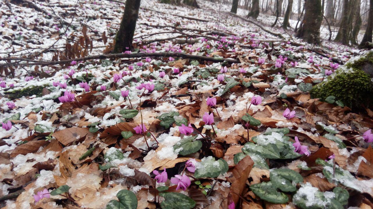 1_5_.jpg (1280×718)