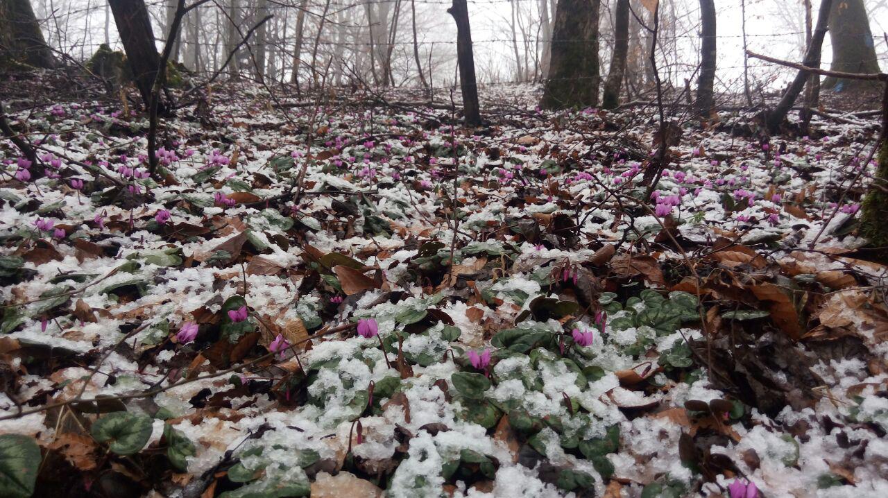 1_9_.jpg (1280×718)