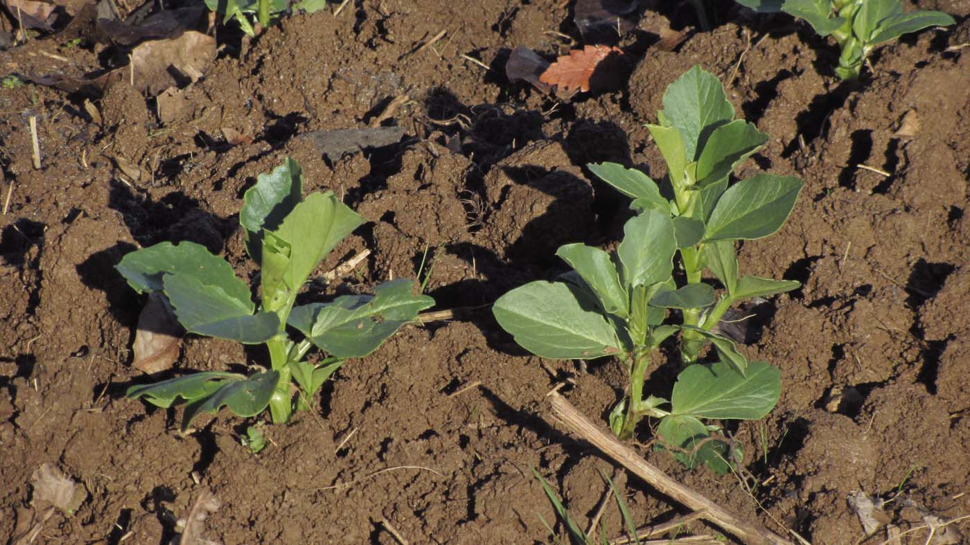 1_2_.jpg (1400×787)