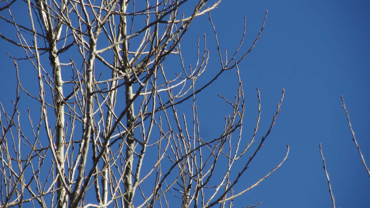 1_13_.jpg (1400×787)