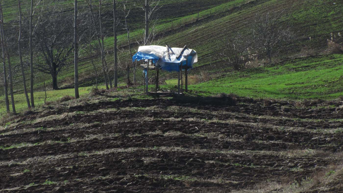 1_20_.jpg (1400×787)