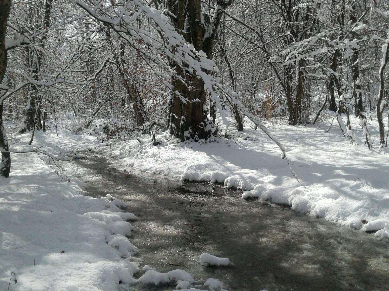 1_3_.jpg (1280×960)