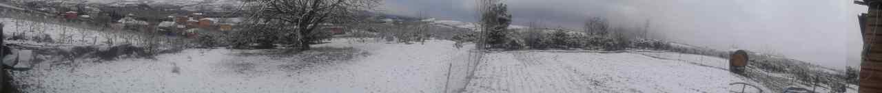 2_4_.jpg (1280×136)