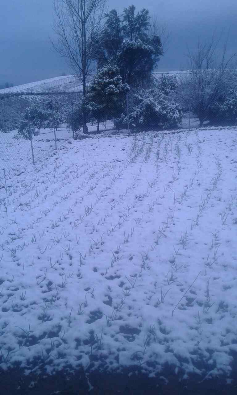 2_7_.jpg (768×1280)