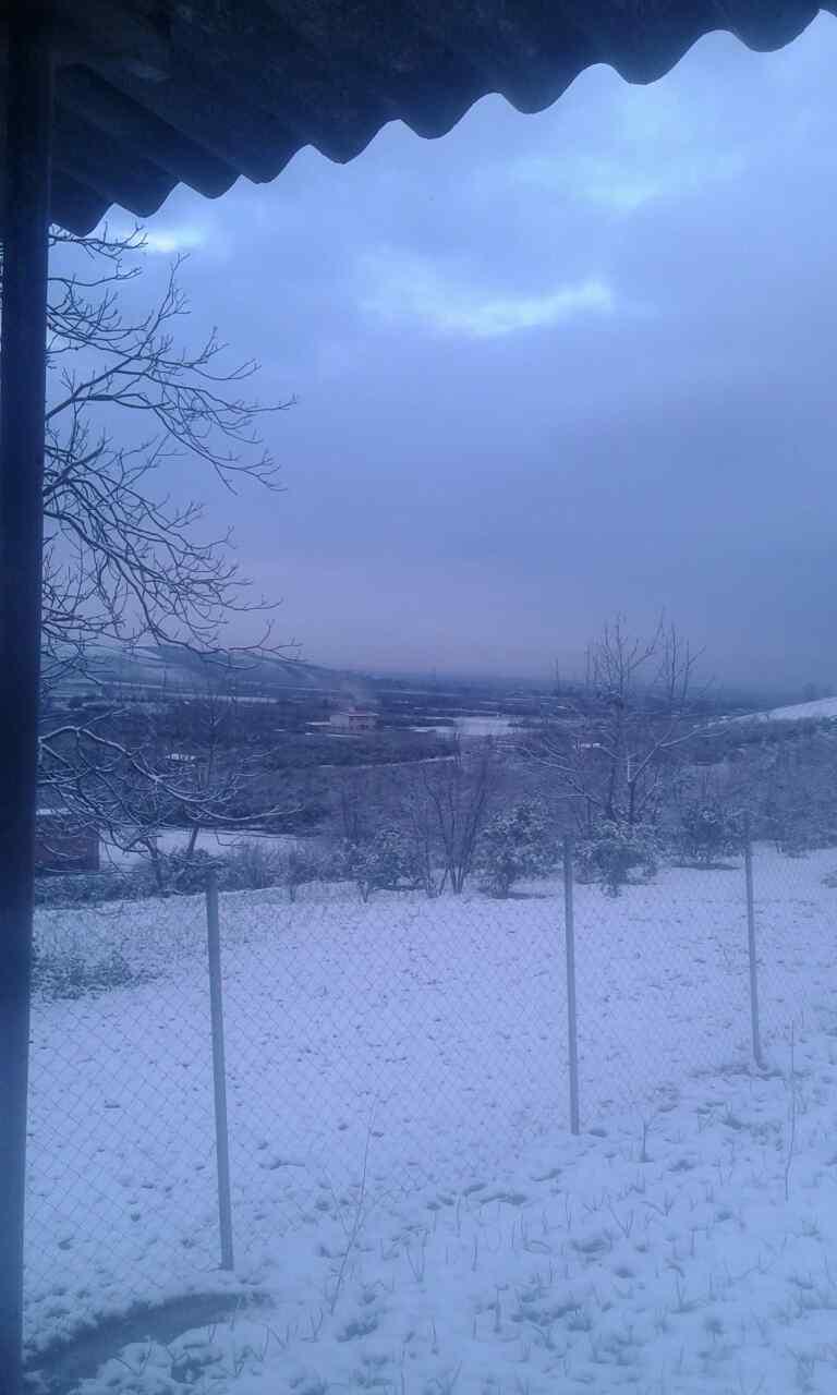 2_8_.jpg (768×1280)