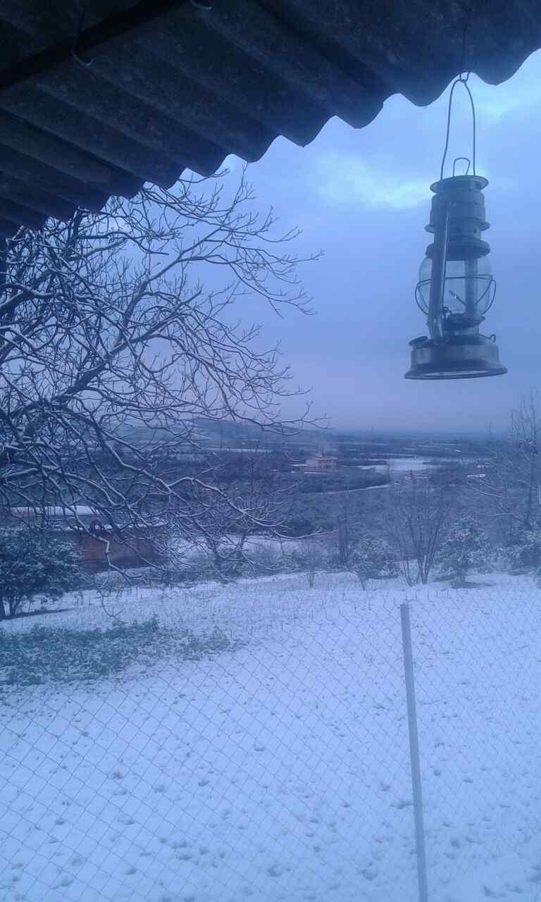 2_9_.jpg (768×1280)