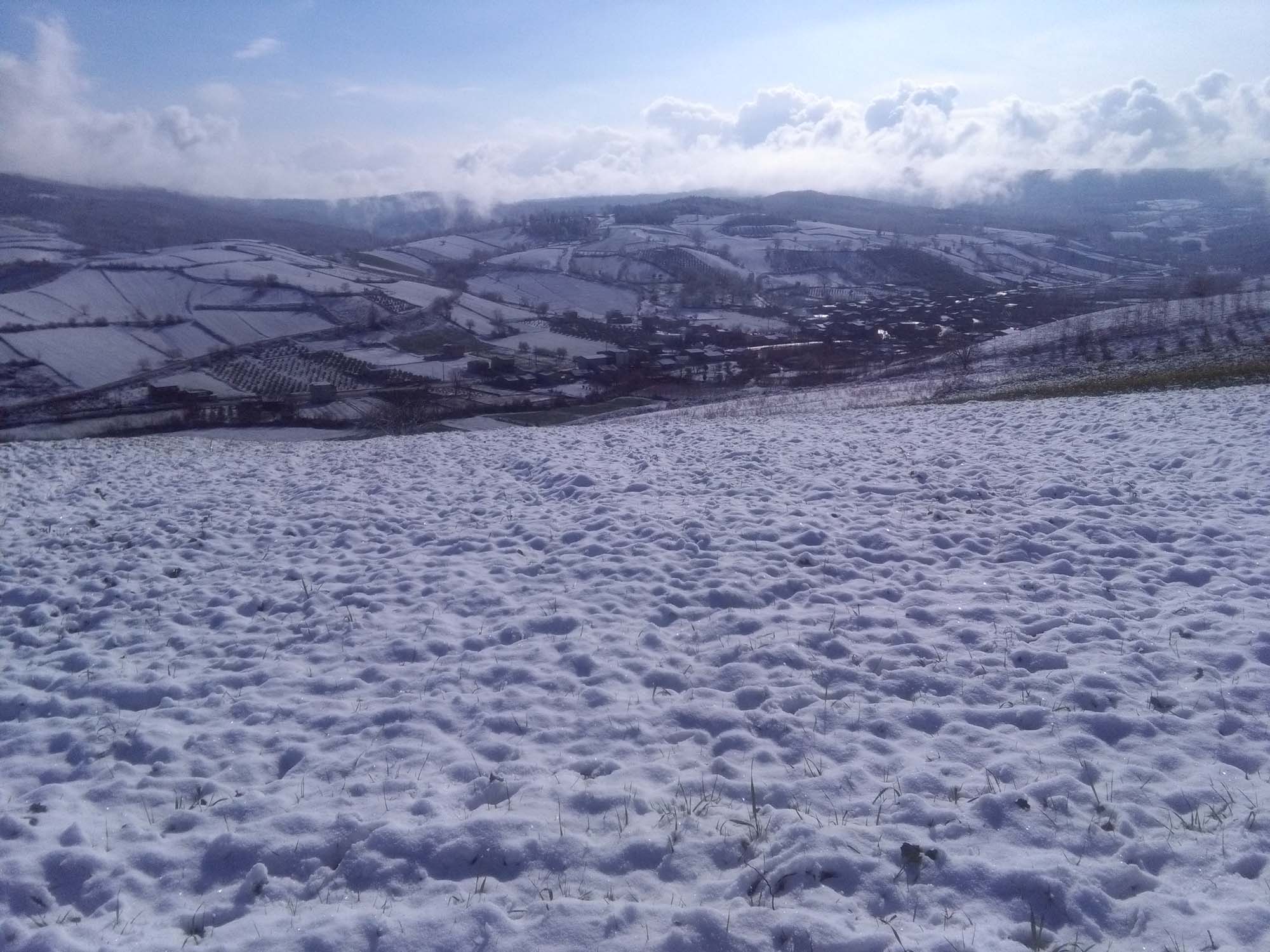 108.jpg (2000×1500)