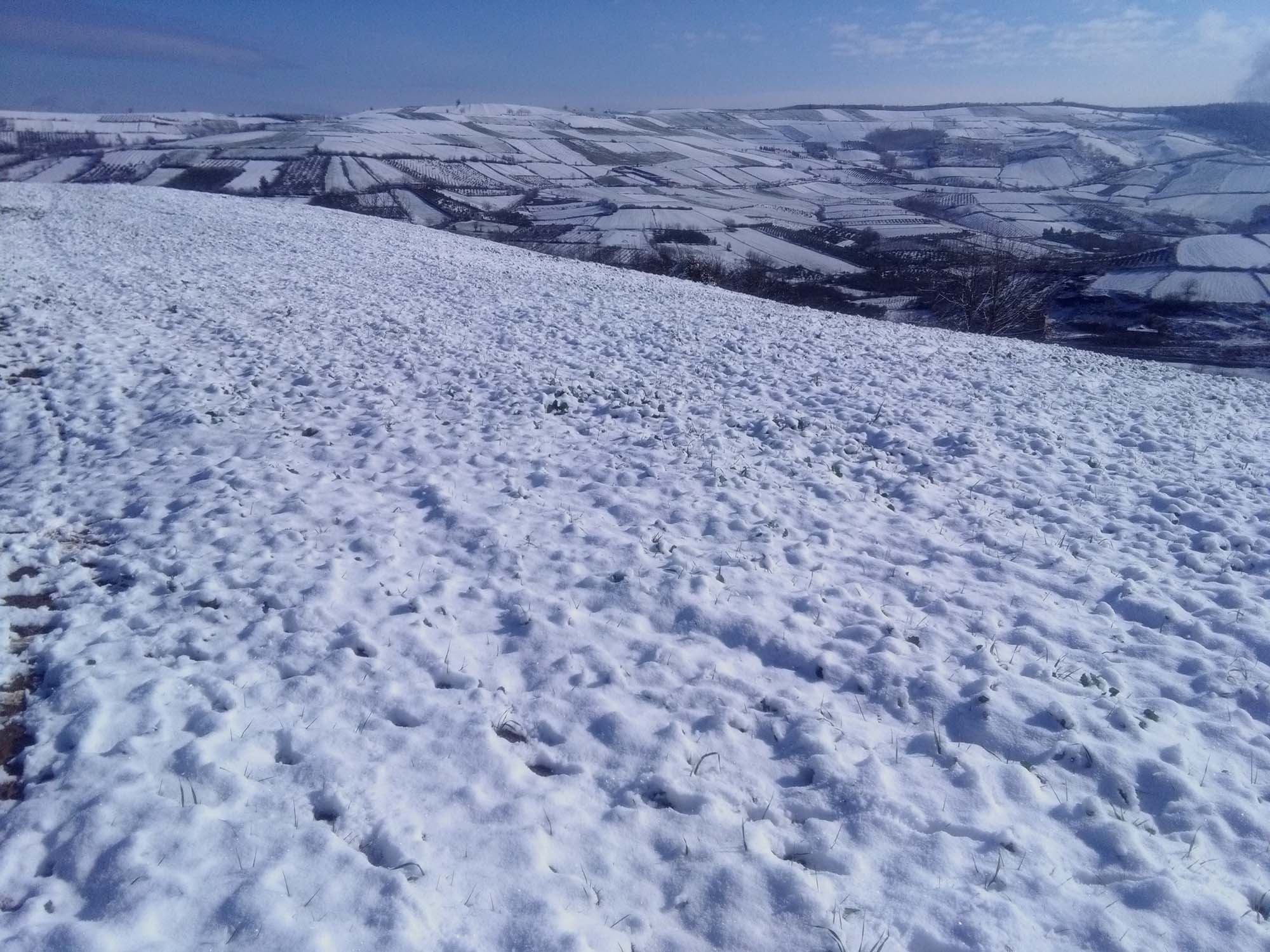 111.jpg (2000×1500)