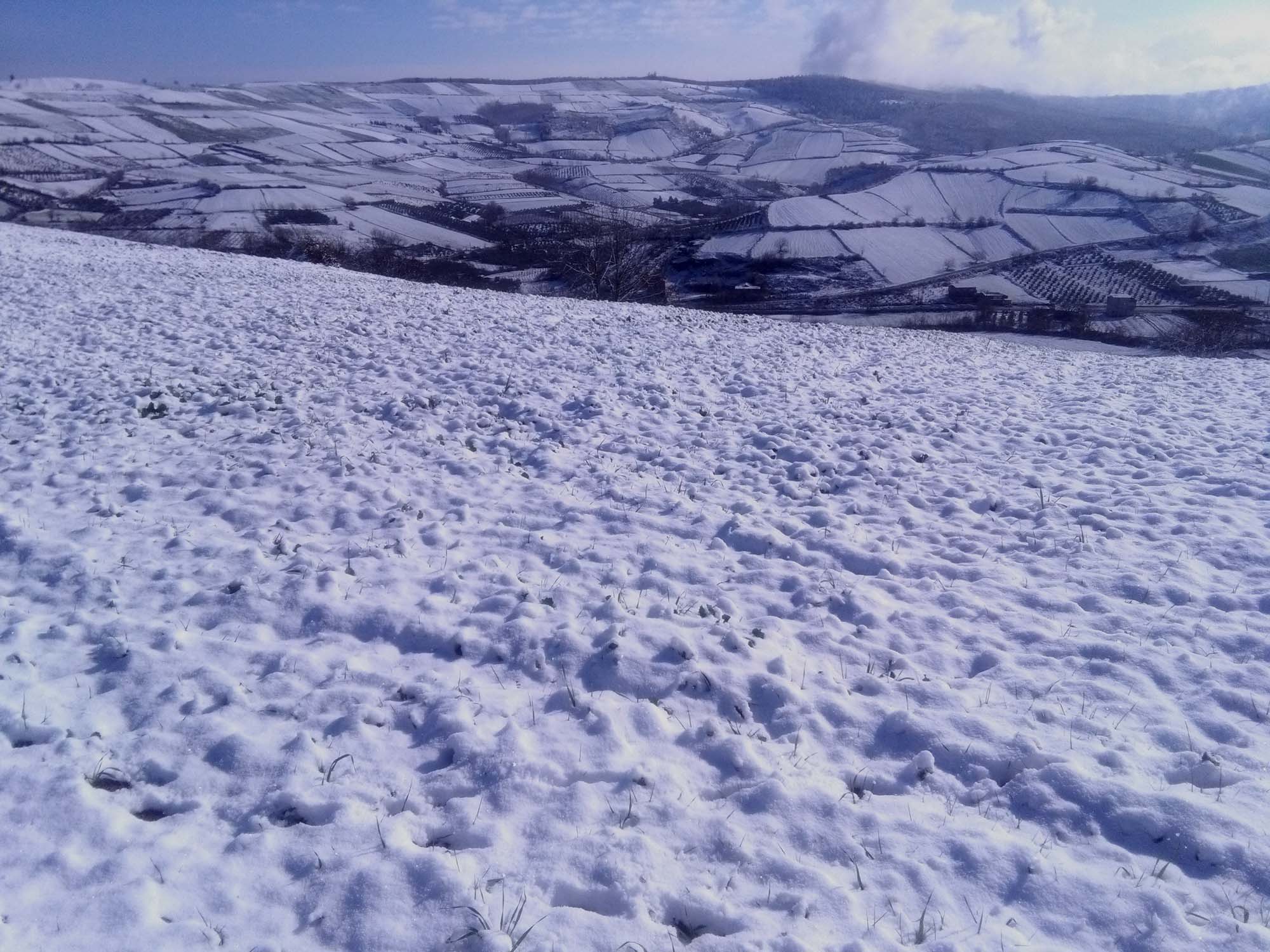 112.jpg (2000×1500)