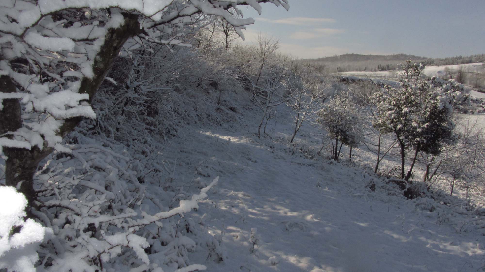 122.JPG (2000×1124)