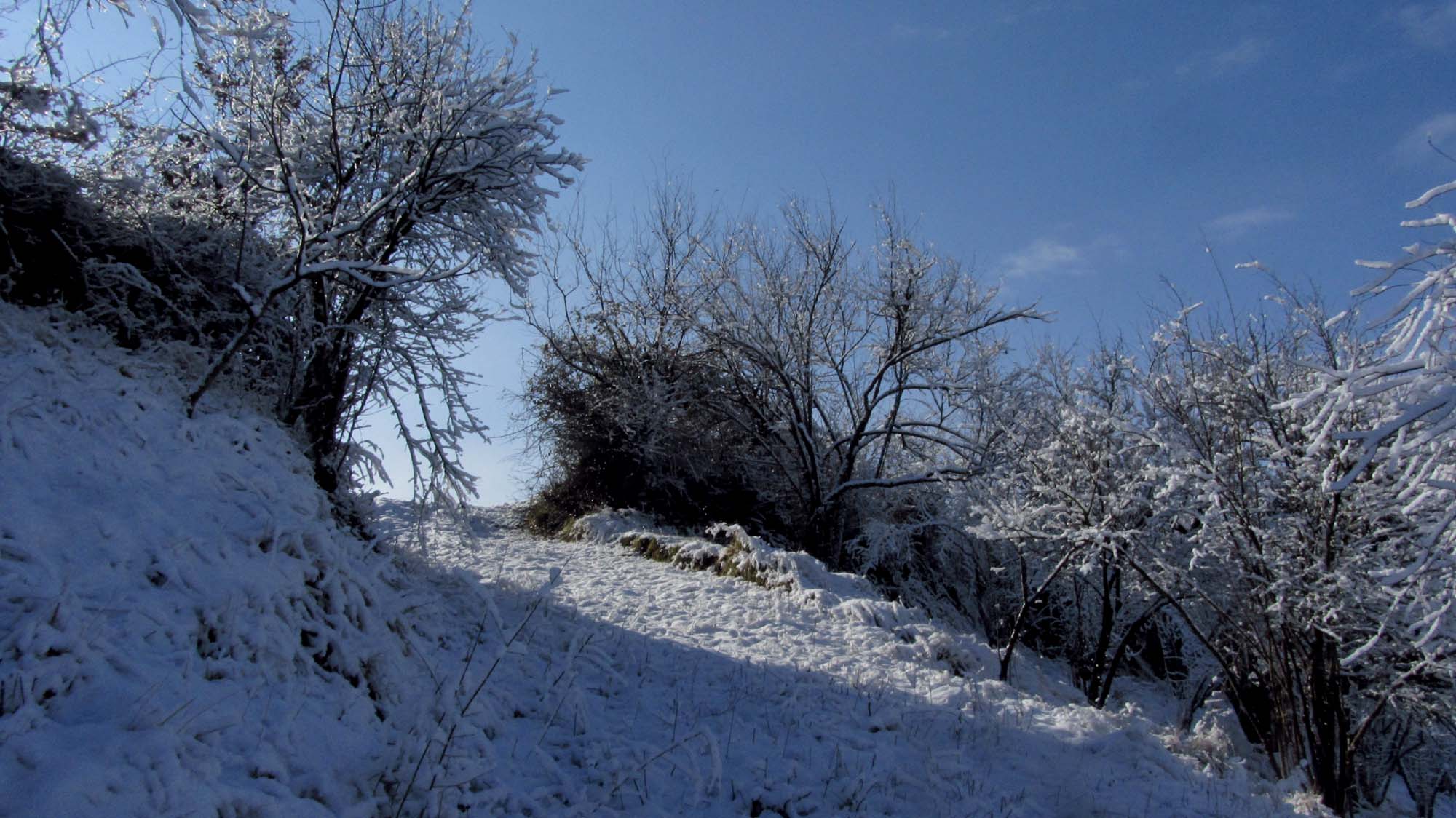 129.JPG (2000×1124)