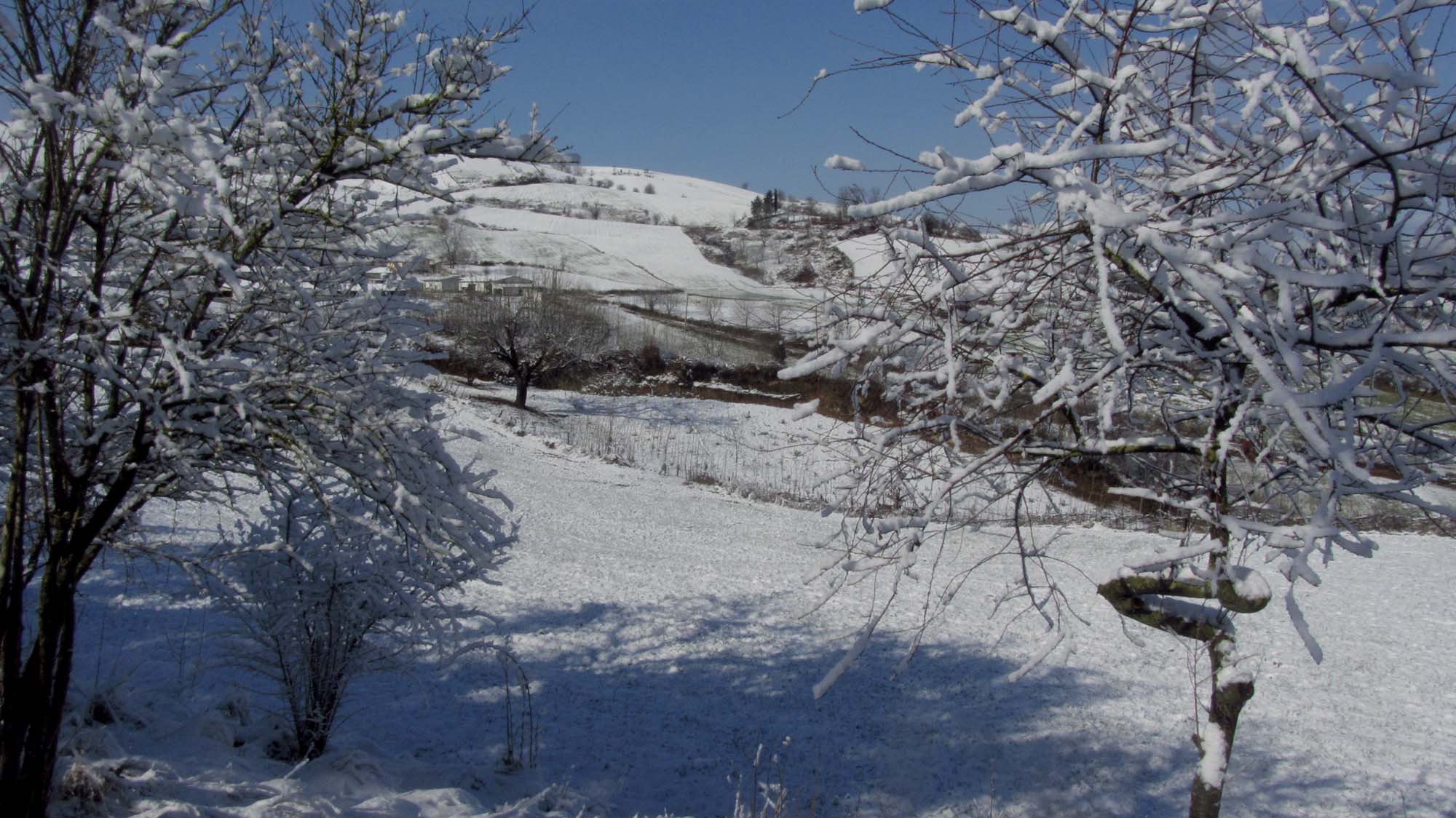 139.JPG (2000×1124)