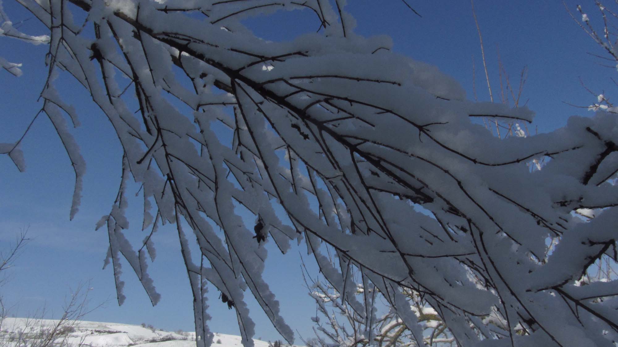 149.JPG (2000×1124)