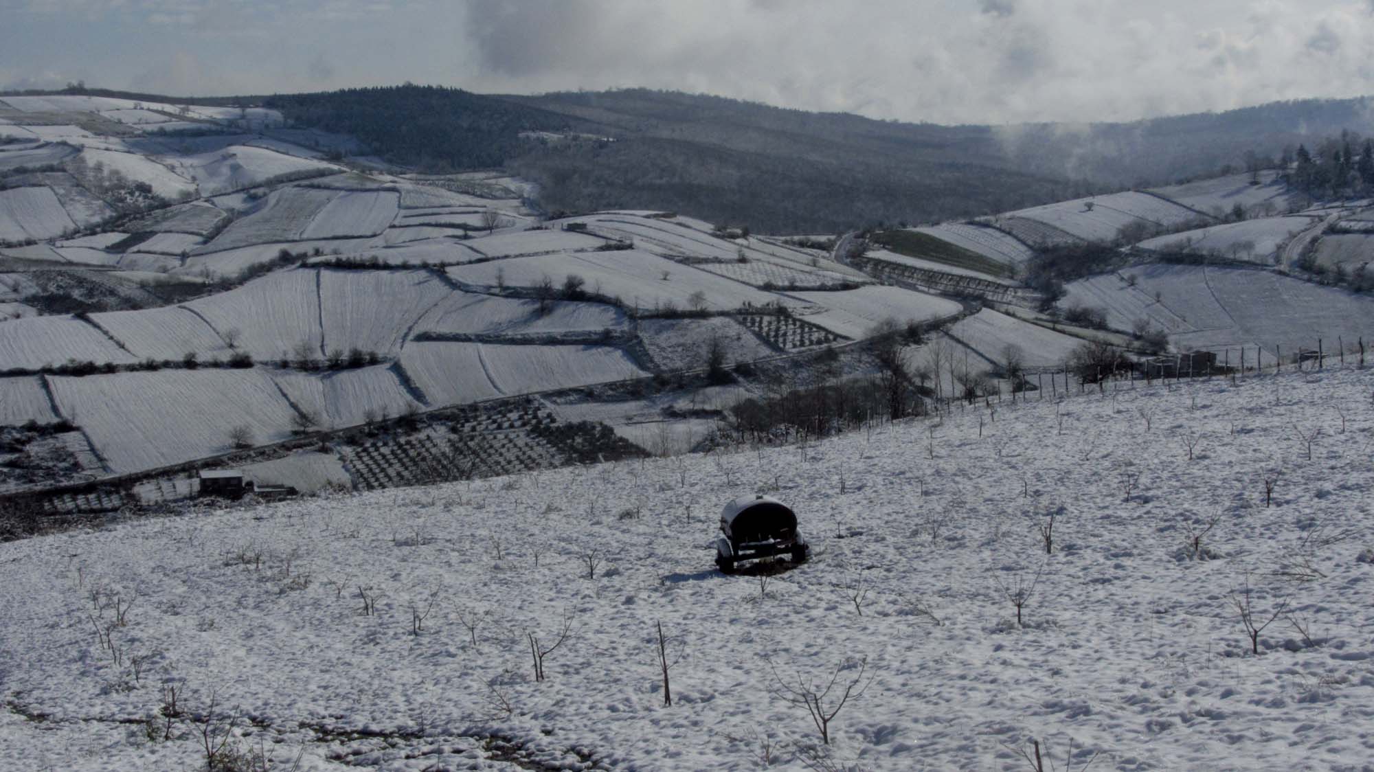 170.JPG (2000×1124)