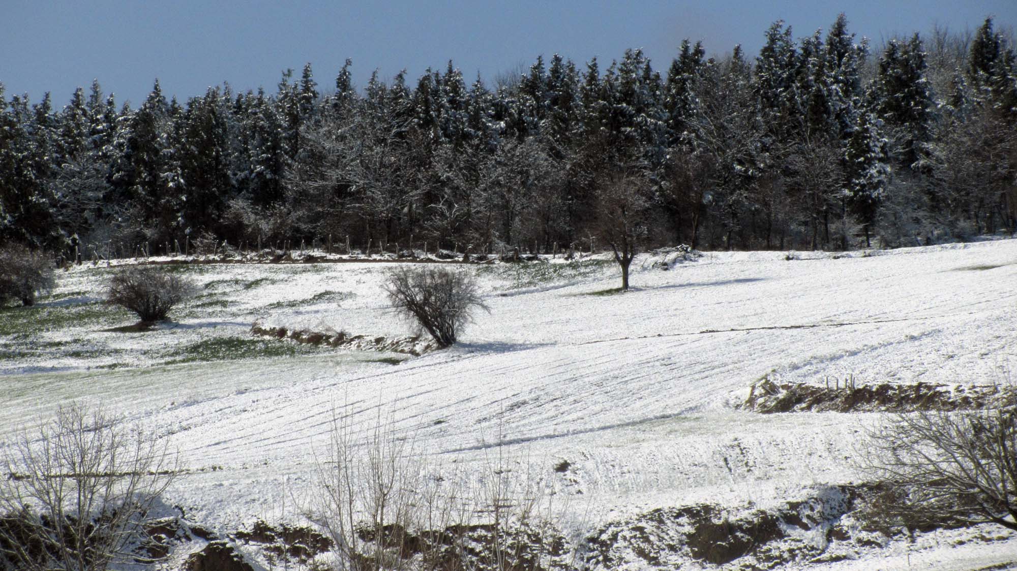 184.JPG (2000×1124)