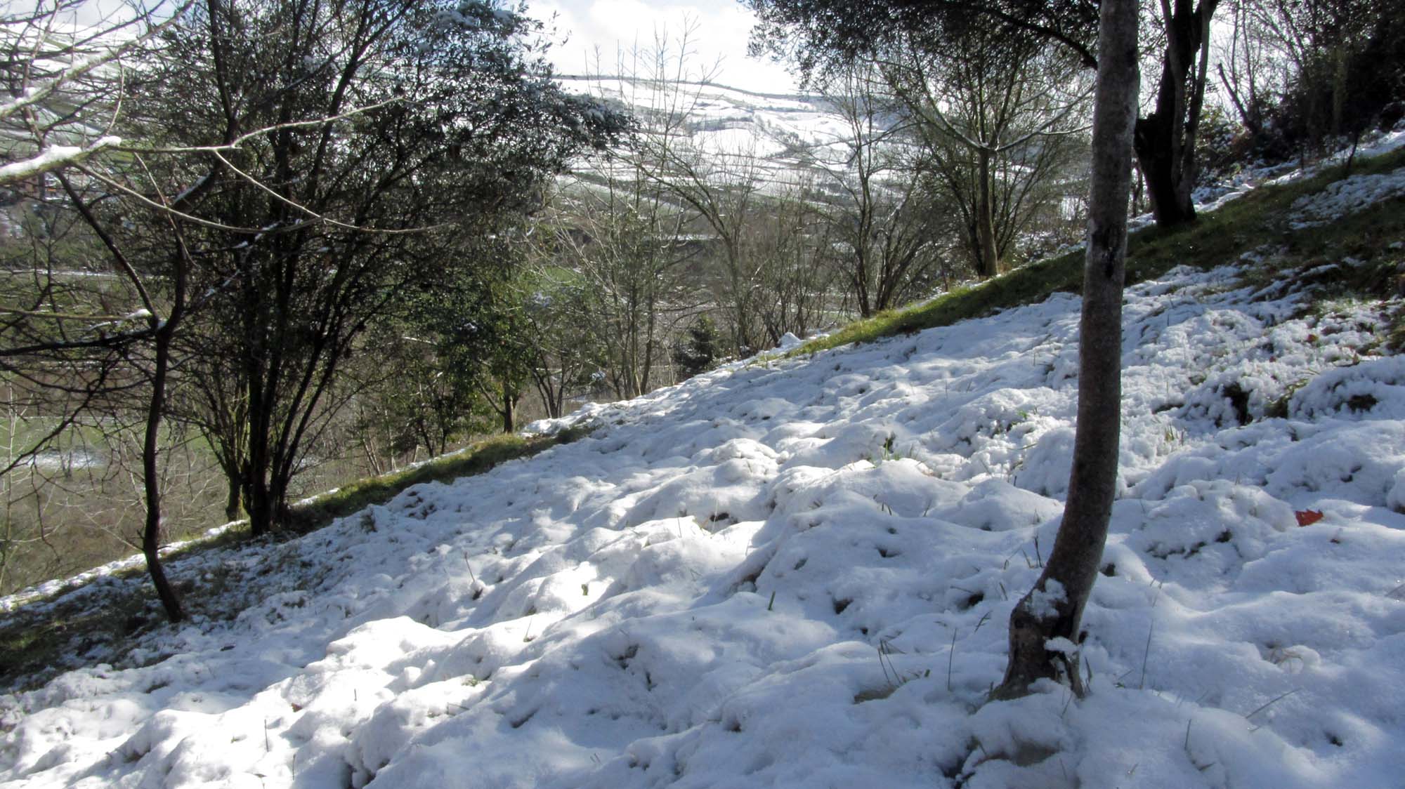 200.JPG (2000×1124)