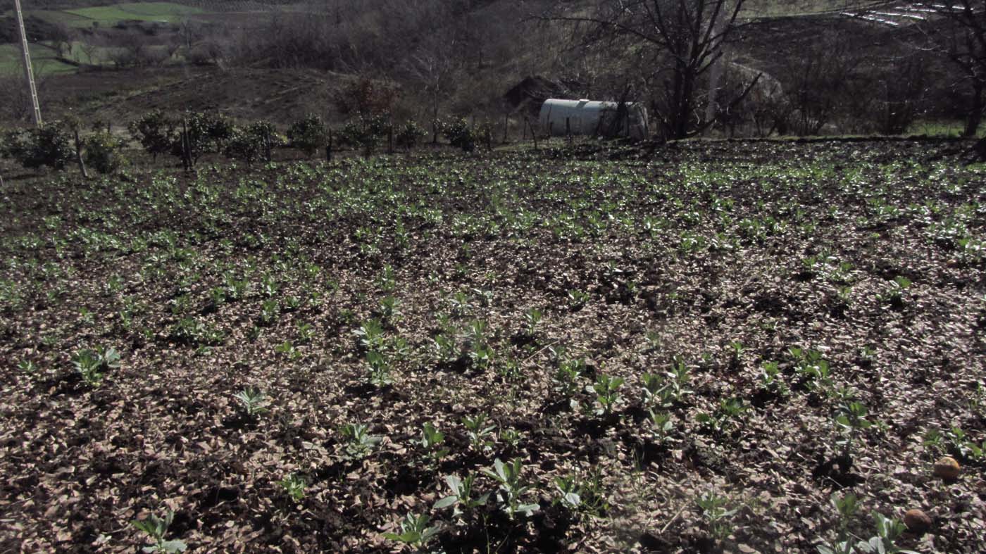 1_2_.jpg (1400×787)