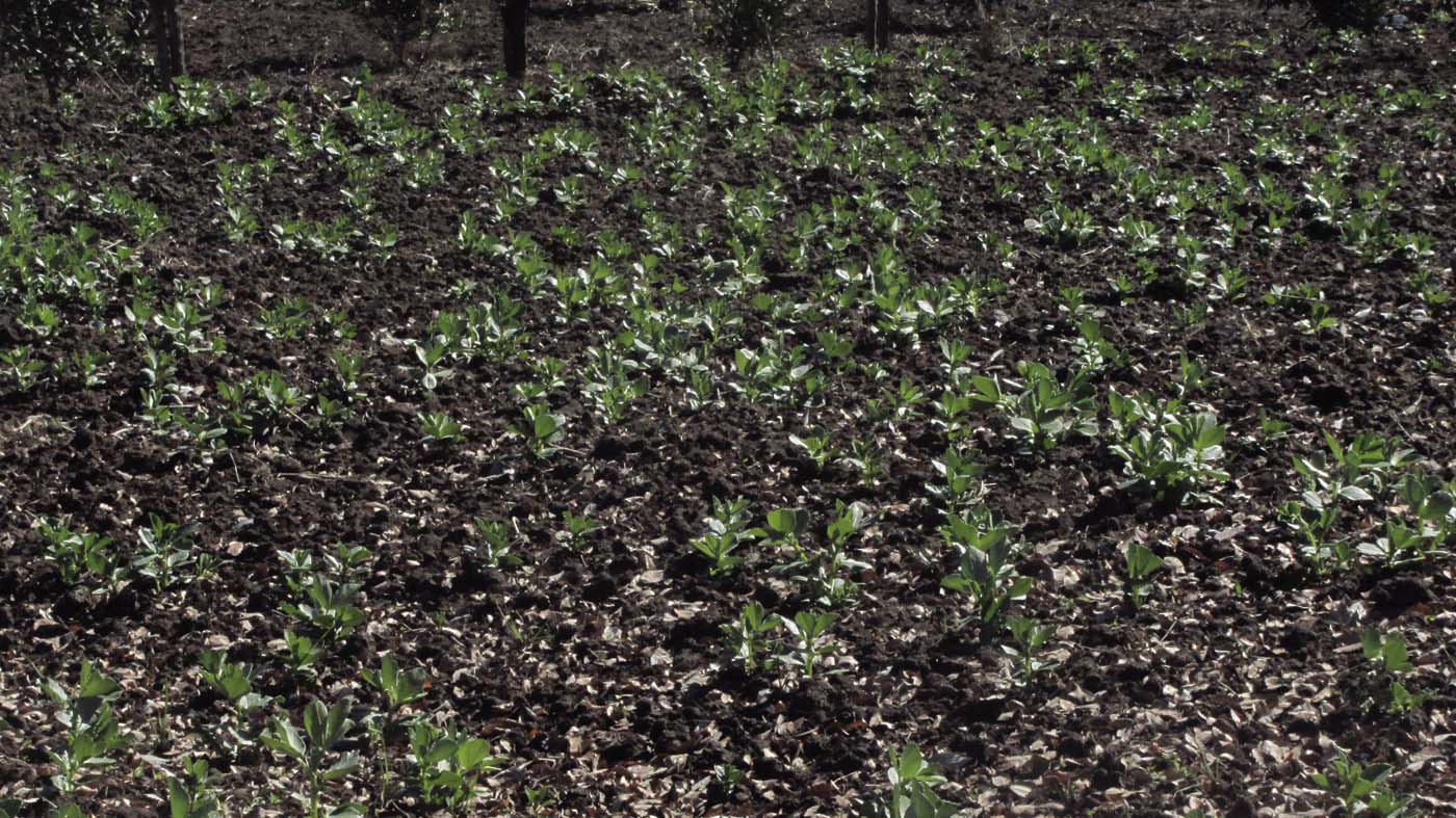 1_4_.jpg (1400×787)