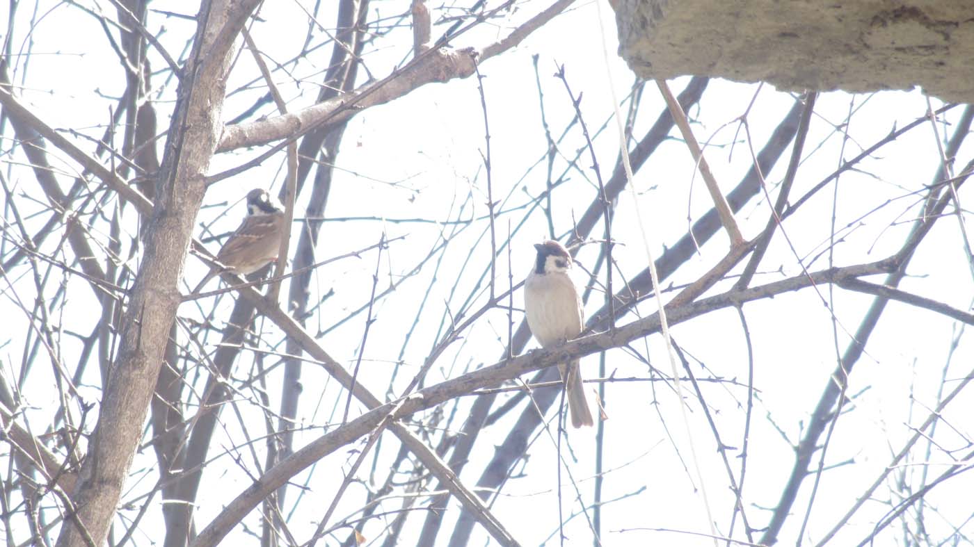 1_14_.jpg (1400×787)