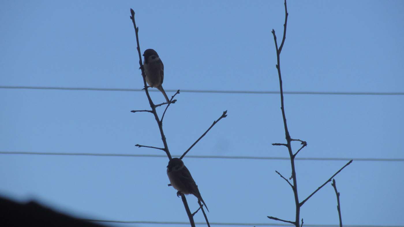 1_17_.jpg (1400×787)