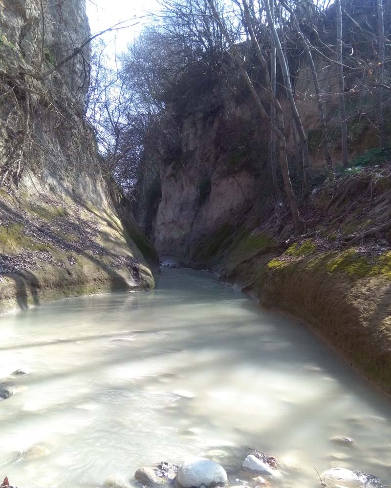 1_46_.jpg (800×1000)