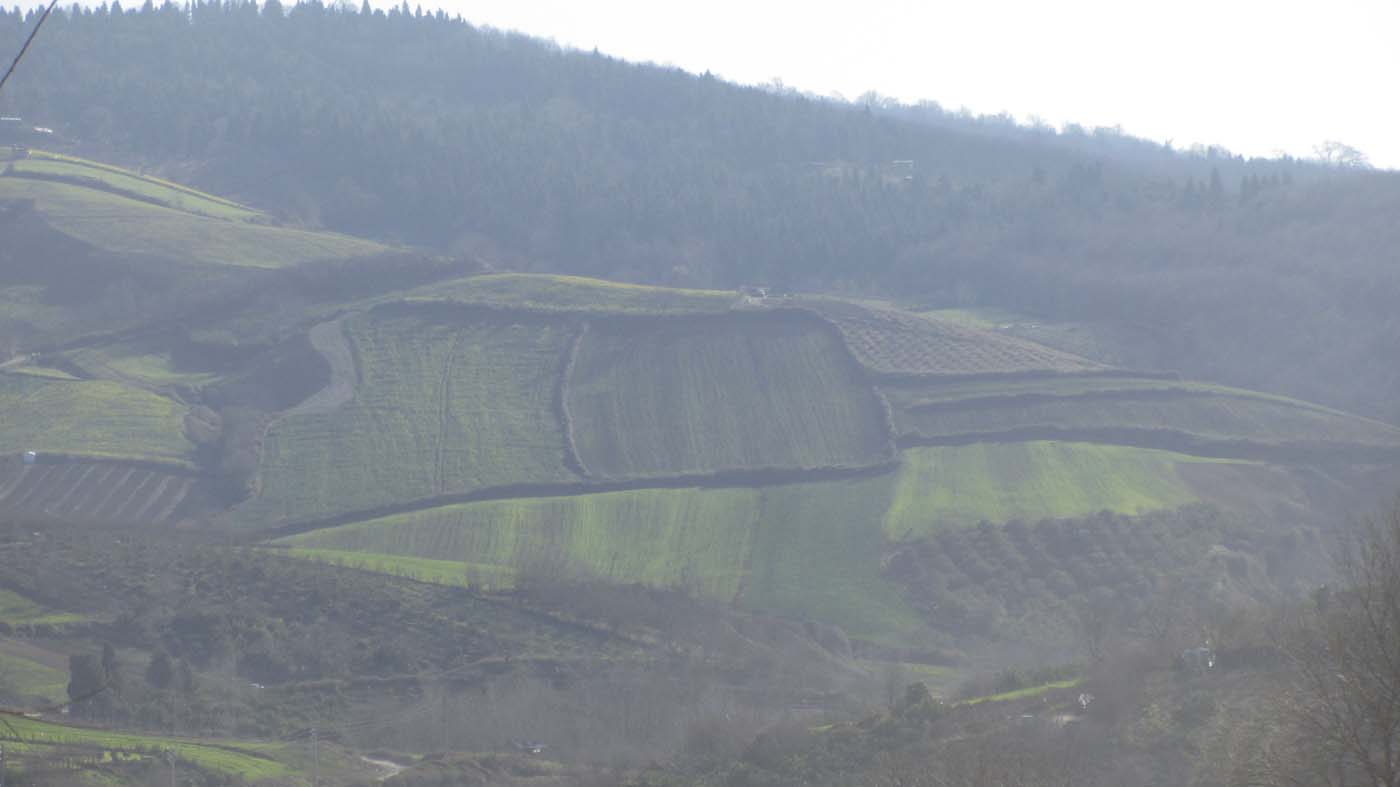 1_52_.jpg (1400×787)