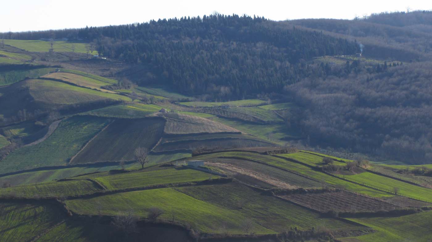 1_59_.JPG (1400×787)