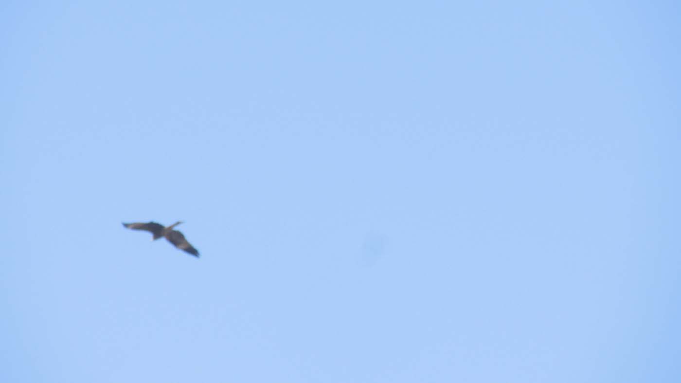 1_73_.JPG (1400×787)