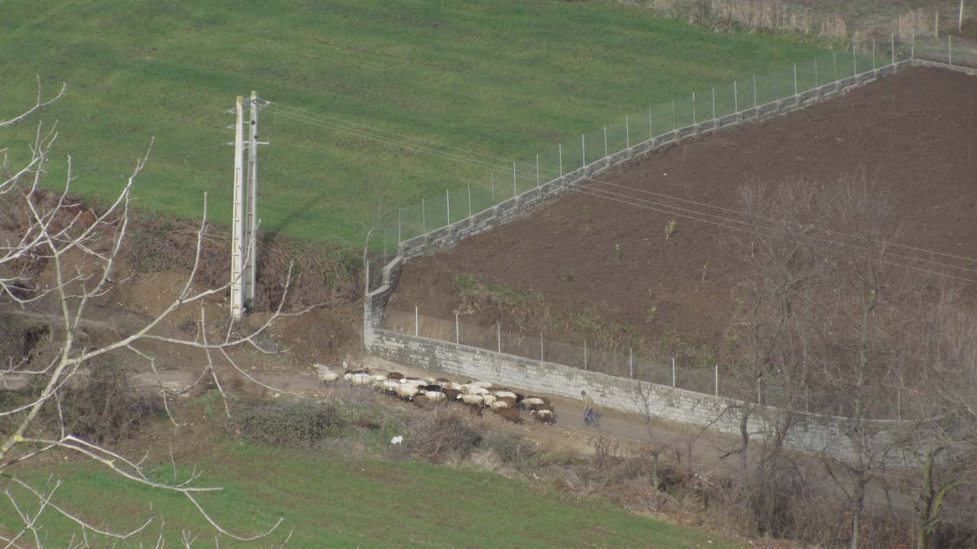 1_79_.JPG (1400×787)