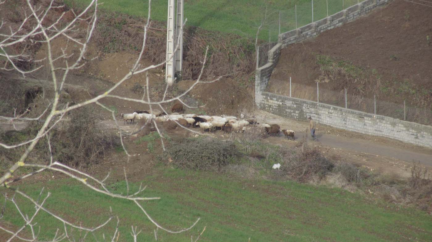 1_80_.JPG (1400×787)